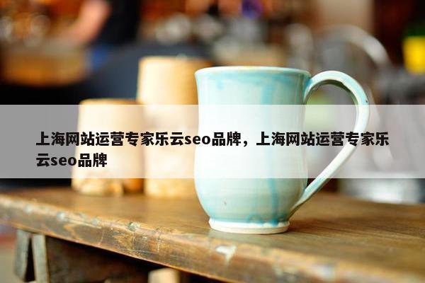 上海网站运营专家乐云seo品牌，上海网站运营专家乐云seo品牌
