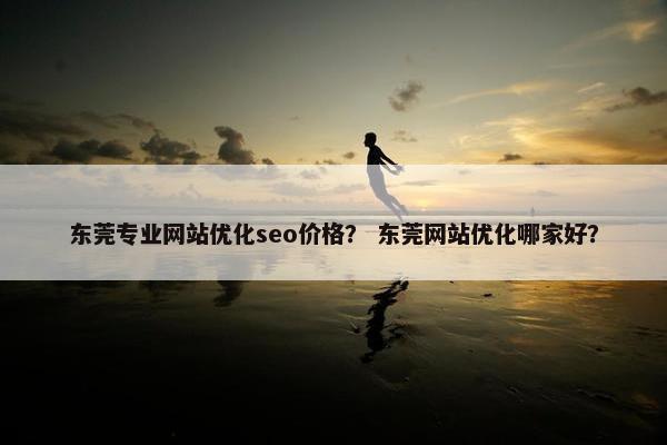 东莞专业网站优化seo价格？ 东莞网站优化哪家好？