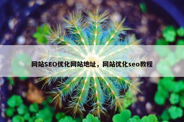 网站SEO优化网站地址，网站优化seo教程