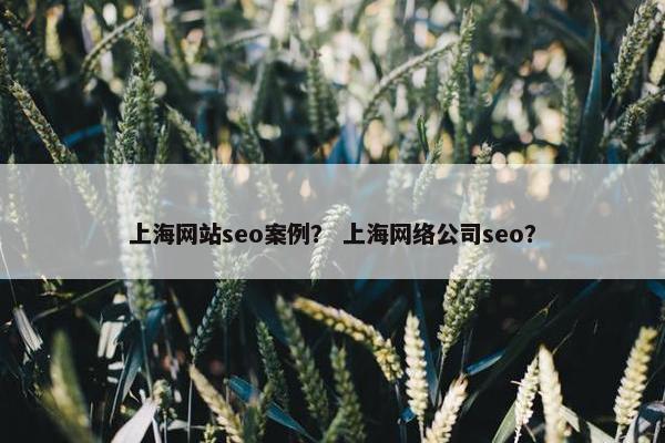 上海网站seo案例？ 上海网络公司seo？