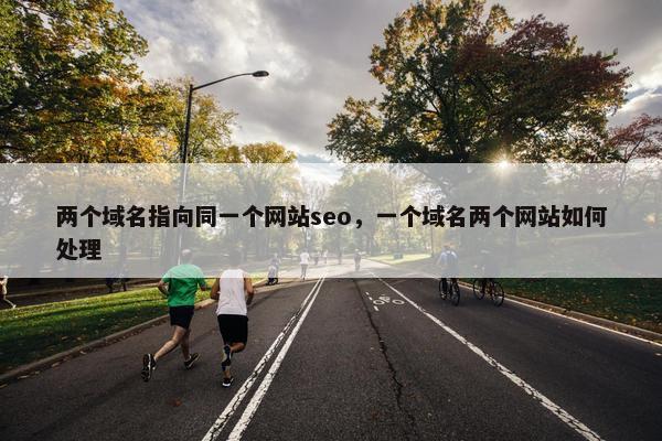 两个域名指向同一个网站seo，一个域名两个网站如何处理