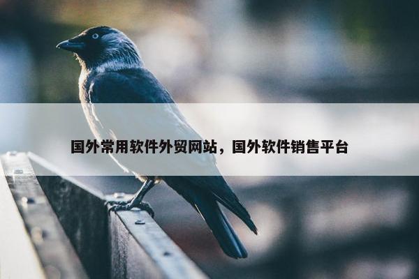 国外常用软件外贸网站，国外软件销售平台