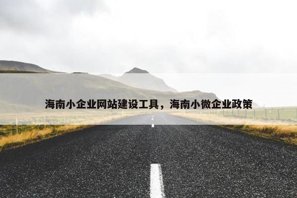 海南小企业网站建设工具，海南小微企业政策