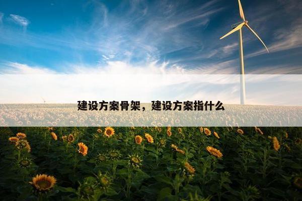 建设方案骨架，建设方案指什么
