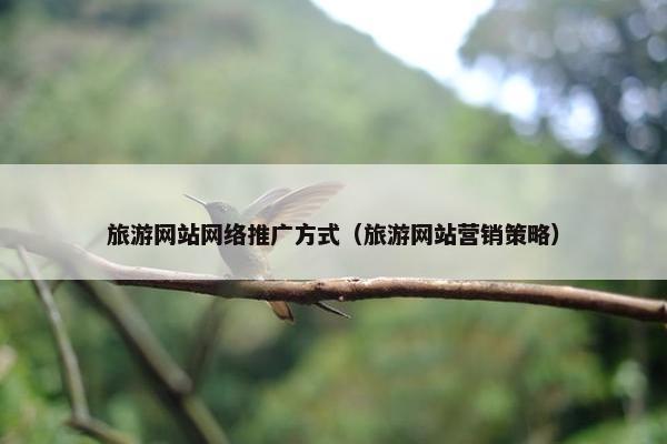 旅游网站网络推广方式（旅游网站营销策略）