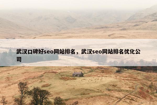 武汉口碑好seo网站排名，武汉seo网站排名优化公司