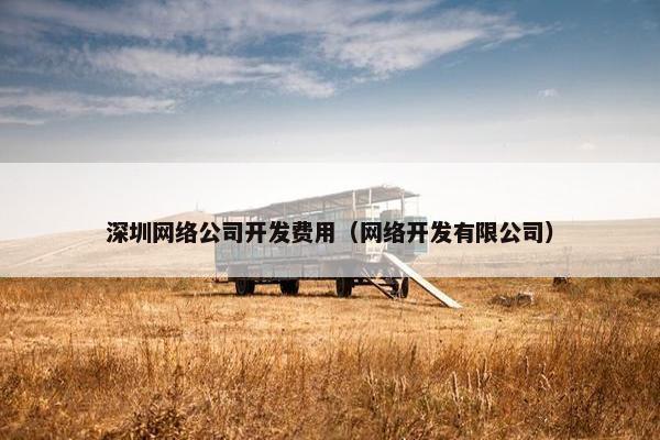 深圳网络公司开发费用（网络开发有限公司）