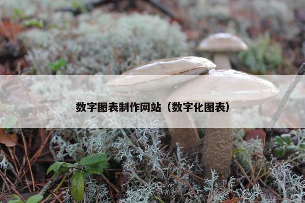 数字图表制作网站（数字化图表）