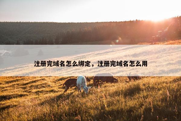 注册完域名怎么绑定，注册完域名怎么用