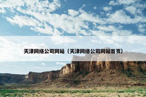 天津网络公司网站（天津网络公司网站首页）