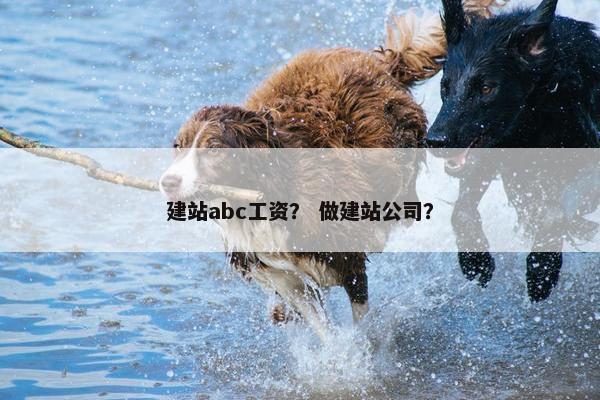 建站abc工资？ 做建站公司？