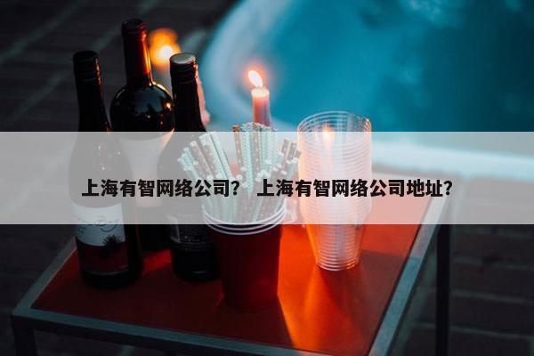 上海有智网络公司？ 上海有智网络公司地址？