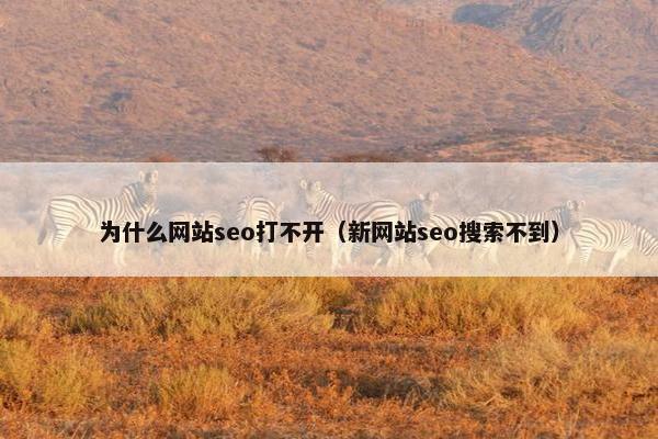 为什么网站seo打不开（新网站seo搜索不到）