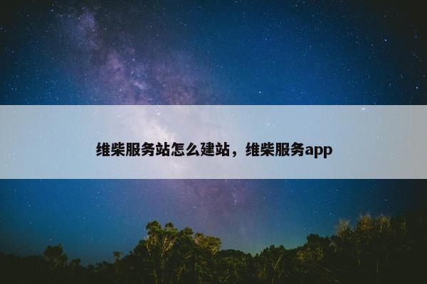 维柴服务站怎么建站，维柴服务app