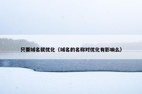 只要域名就优化（域名的名称对优化有影响么）