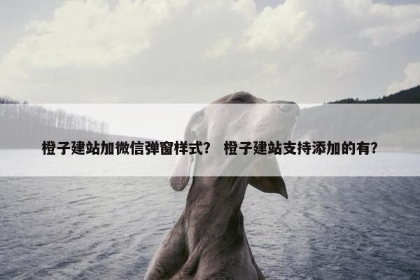 橙子建站加微信弹窗样式？ 橙子建站支持添加的有？