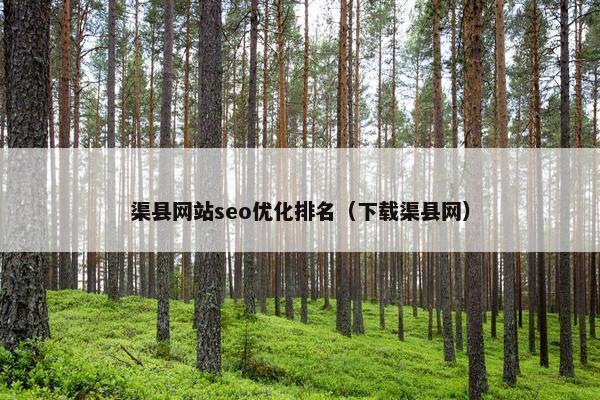 渠县网站seo优化排名（下载渠县网）