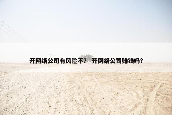 开网络公司有风险不？ 开网络公司赚钱吗？