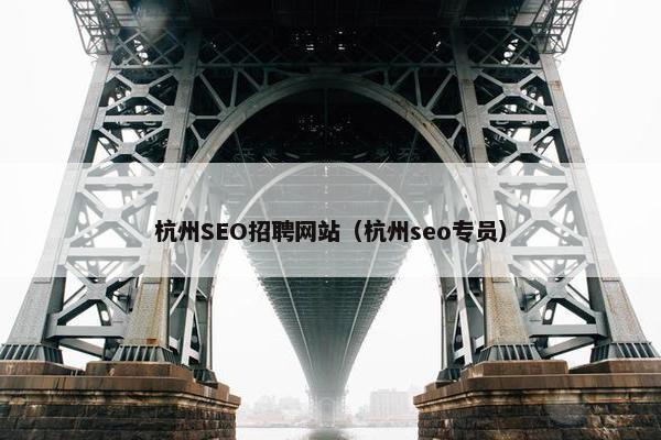 杭州SEO招聘网站（杭州seo专员）