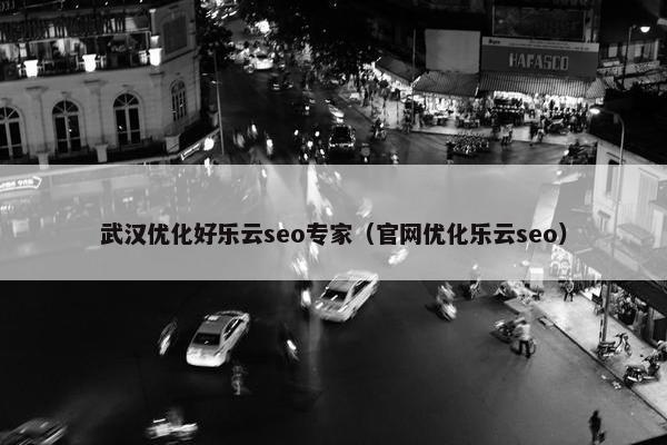 武汉优化好乐云seo专家（官网优化乐云seo）