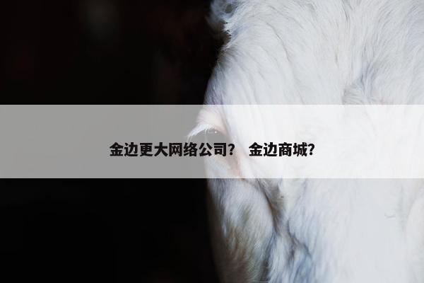 金边更大网络公司？ 金边商城？