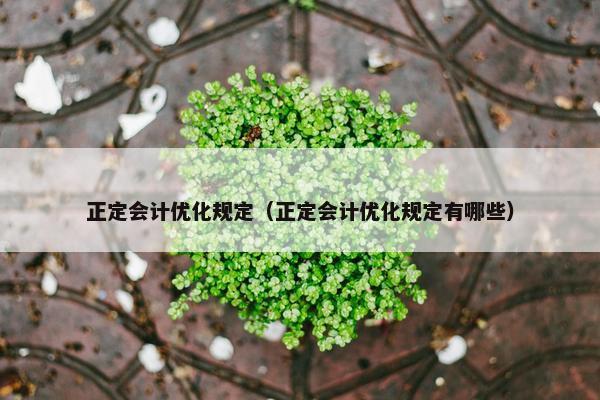 正定会计优化规定（正定会计优化规定有哪些）