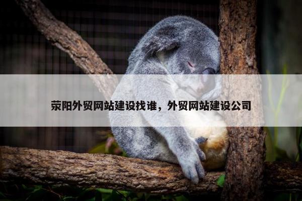 荥阳外贸网站建设找谁，外贸网站建设公司