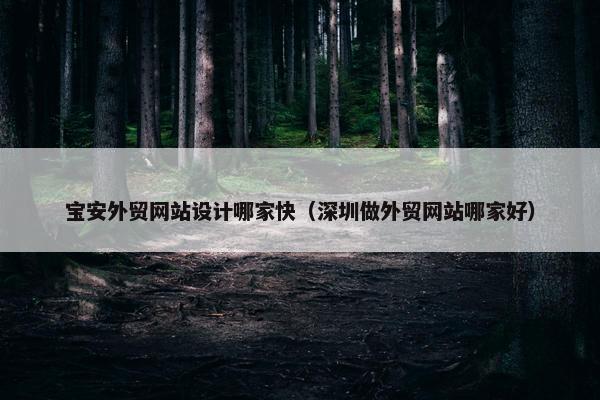 宝安外贸网站设计哪家快（深圳做外贸网站哪家好）