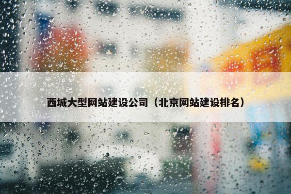 西城大型网站建设公司（北京网站建设排名）