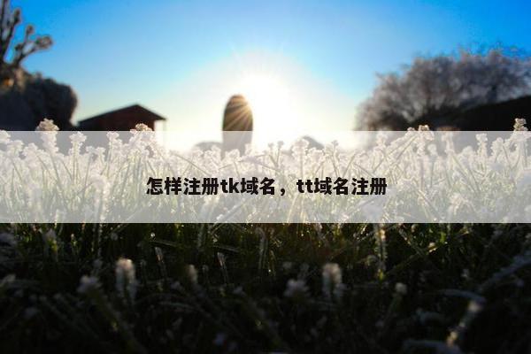 怎样注册tk域名，tt域名注册