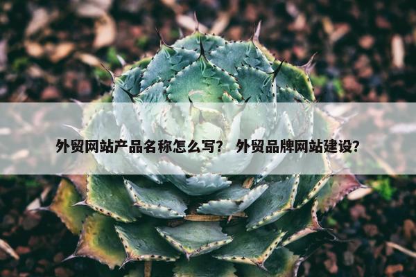 外贸网站产品名称怎么写？ 外贸品牌网站建设？