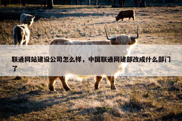联通网站建设公司怎么样，中国联通网建部改成什么部门了