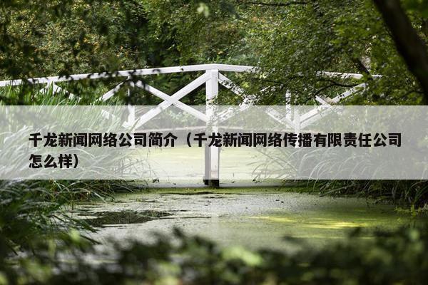 千龙新闻网络公司简介（千龙新闻网络传播有限责任公司怎么样）