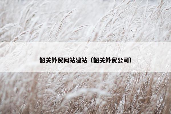 韶关外贸网站建站（韶关外贸公司）