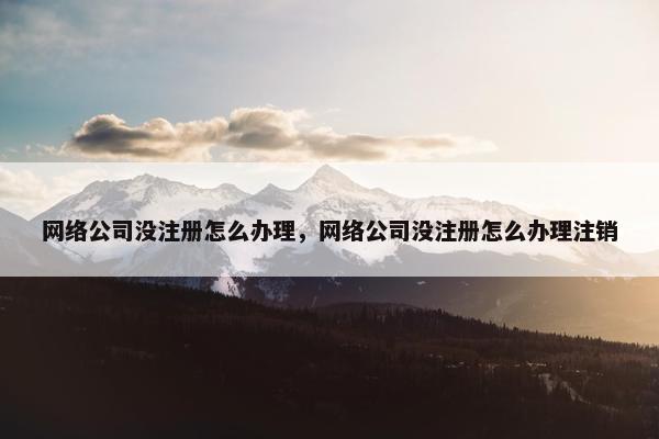 网络公司没注册怎么办理，网络公司没注册怎么办理注销