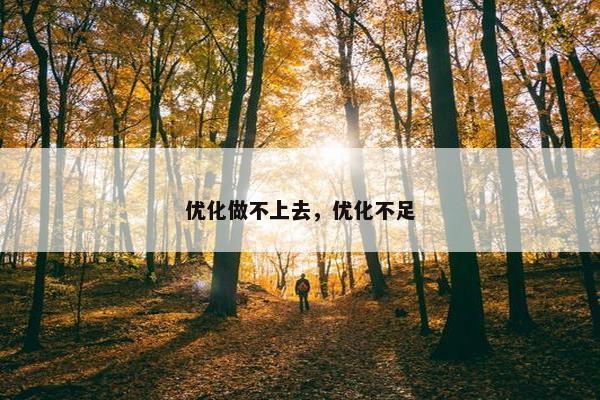 优化做不上去，优化不足