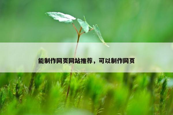 能制作网页网站推荐，可以制作网页