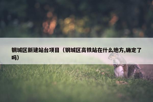 钢城区新建站台项目（钢城区高铁站在什么地方,确定了吗）