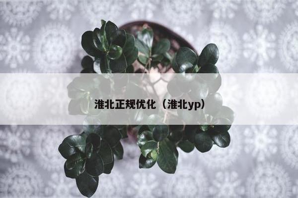 淮北正规优化（淮北yp）