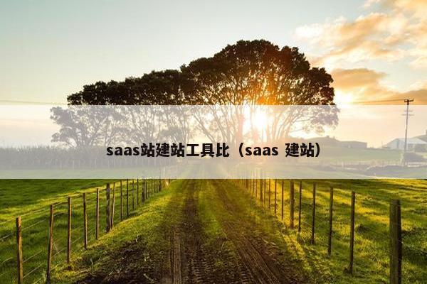 saas站建站工具比（saas 建站）