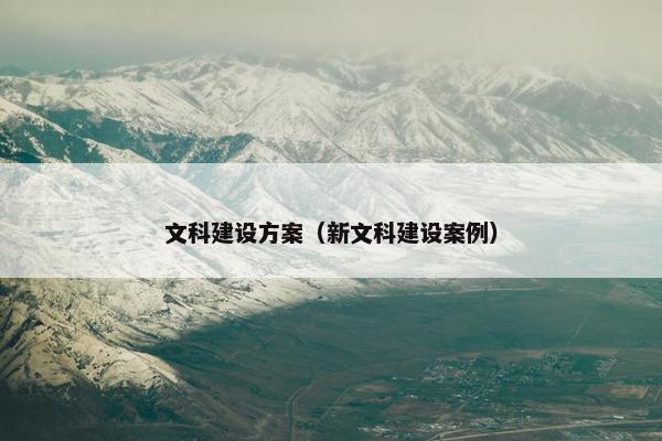 文科建设方案（新文科建设案例）
