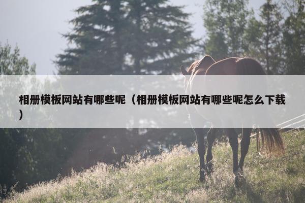 相册模板网站有哪些呢（相册模板网站有哪些呢怎么下载）