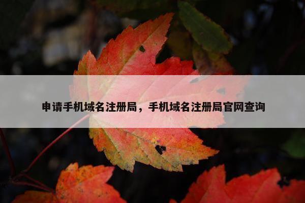 申请手机域名注册局，手机域名注册局官网查询