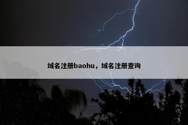 域名注册baohu，域名注册查询
