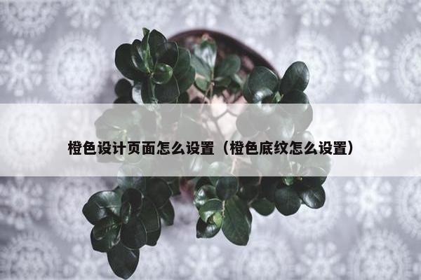 橙色设计页面怎么设置（橙色底纹怎么设置）