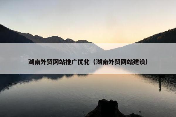湖南外贸网站推广优化（湖南外贸网站建设）