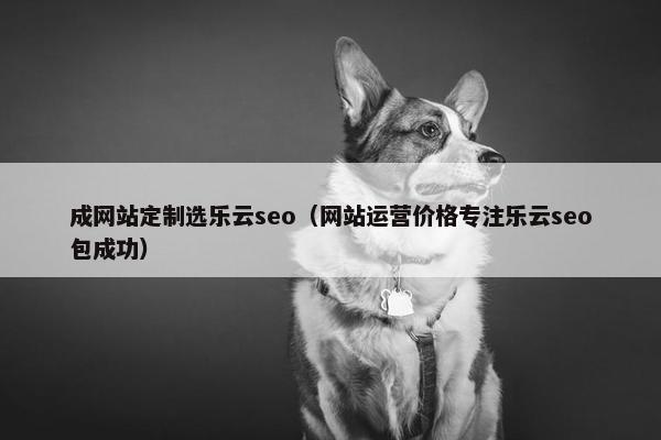 成网站定制选乐云seo（网站运营价格专注乐云seo包成功）