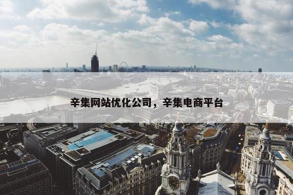 辛集网站优化公司，辛集电商平台