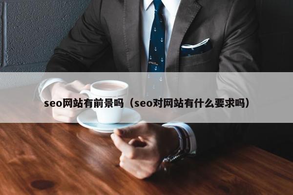 seo网站有前景吗（seo对网站有什么要求吗）