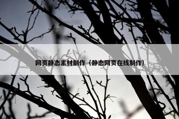 网页静态素材制作（静态网页在线制作）